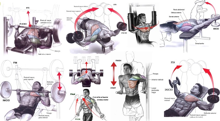 How To Build Chest Muscles Fast All