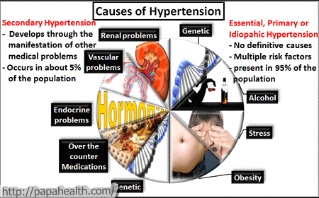 Food - Nutrition - Health: Hypertension - A Symptom and..