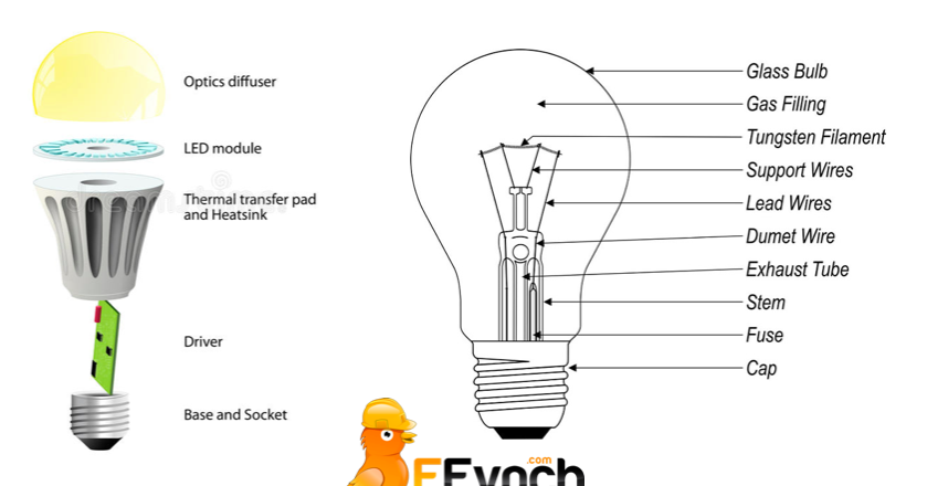 Light Bulb Diagram