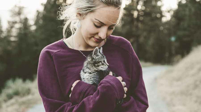 4 Manfaat Memelihara Kucing Bagi Manusia Yang Wajib Kamu Ketahui