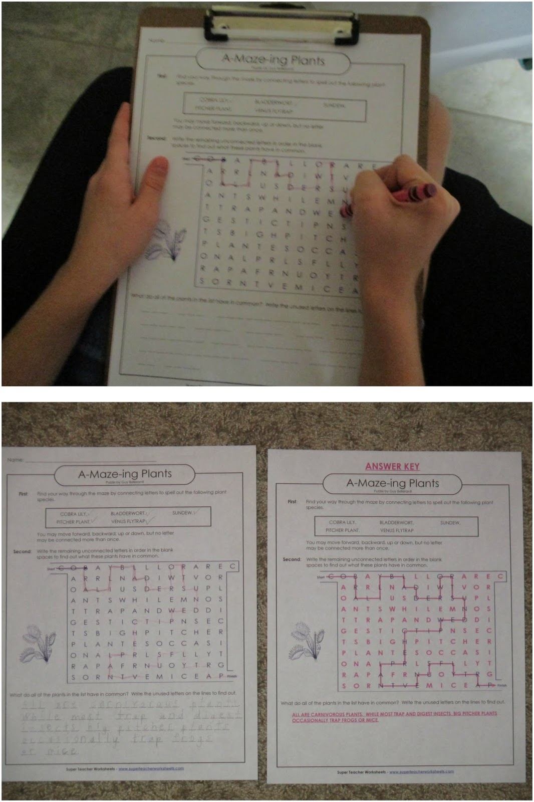 A Learning Journey: Homeschool Review Crew: Super Teacher Worksheets - A Learning Journey: Homeschool Review Crew: Super Teacher Worksheets