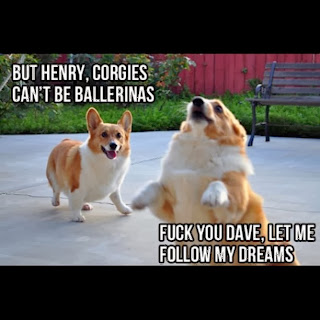 [Obrazek: 999fa774fe3611e29e1622000a9d0ec7_7.jpg]