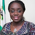 Development Bank of Nigeria Set For Take-Off