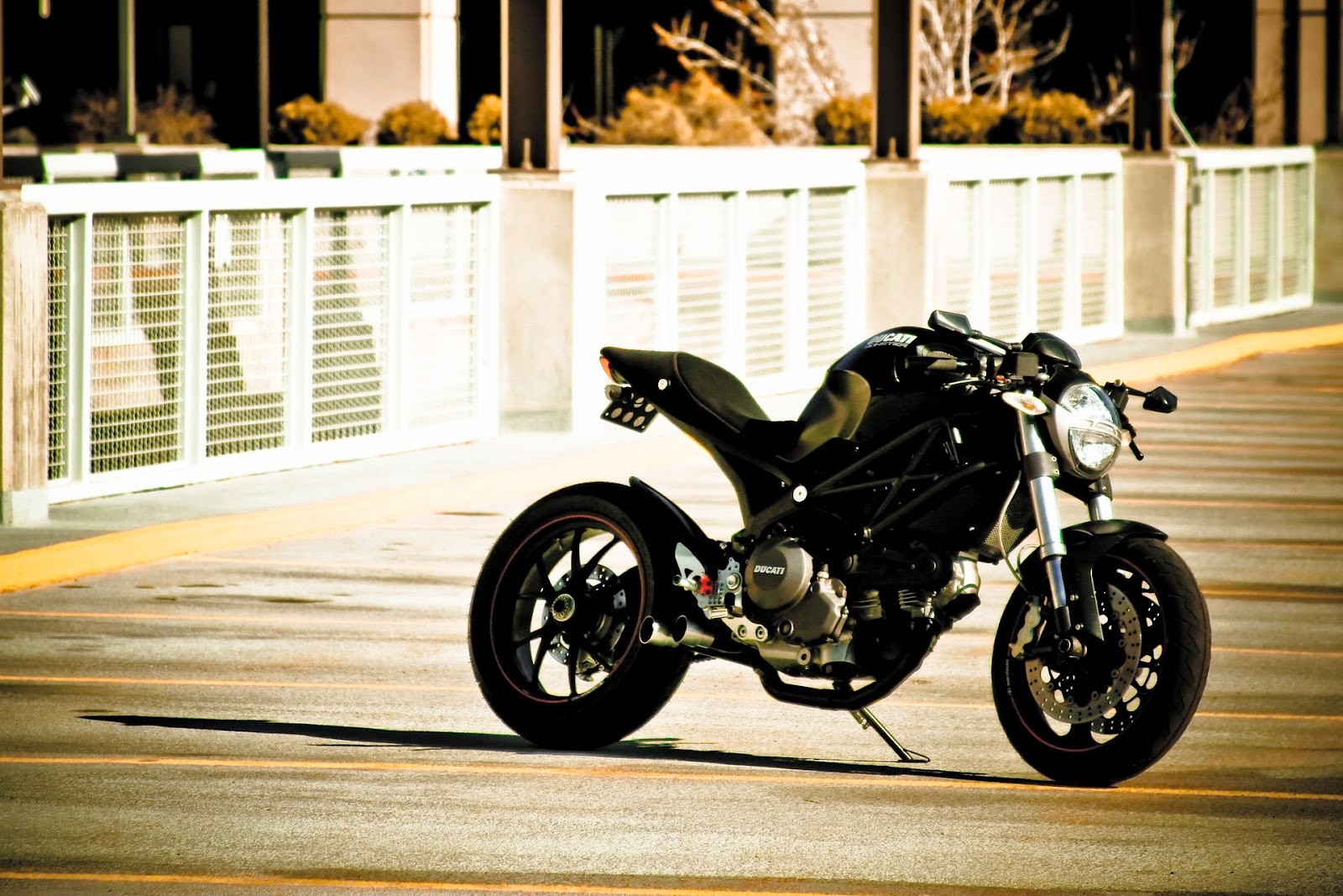Ducati Monster 696 Cafe Racer Grease n Gas