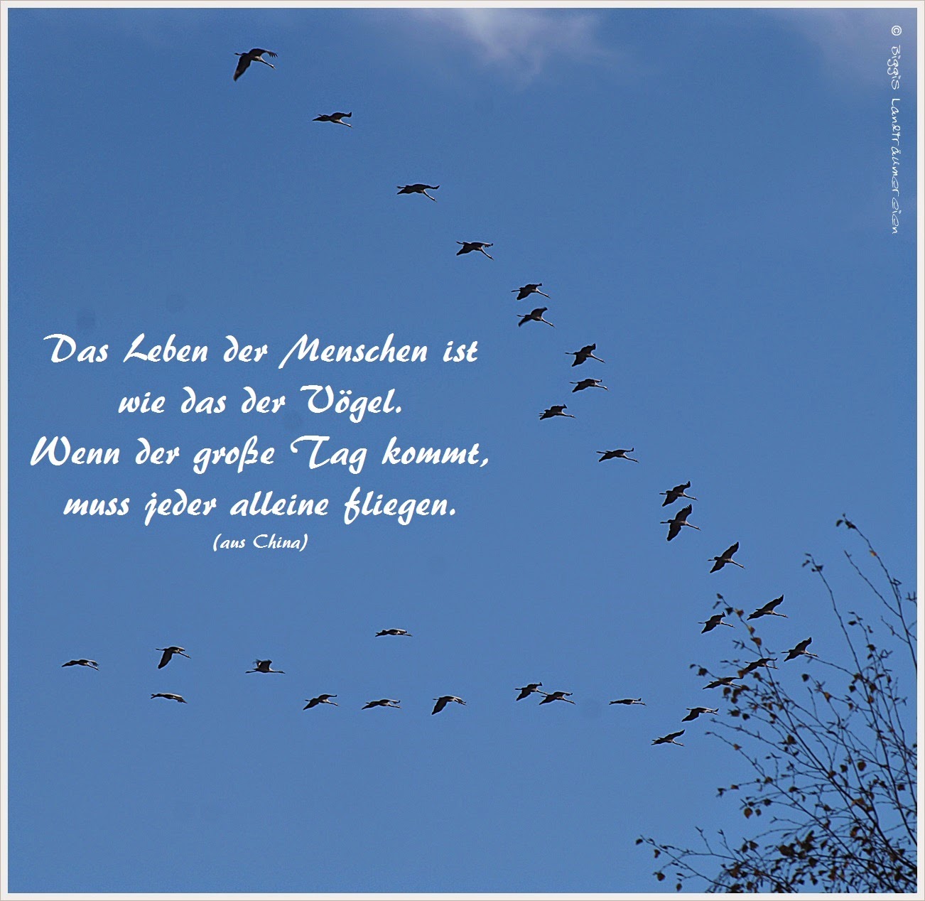 Hans guck in die Luft