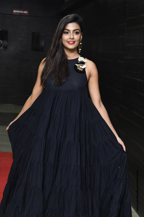 Anisha Ambrose at Vunnadhi Okate Zindagi Audio Release