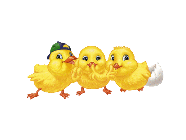 Группа птенцов. Группа цыплята. Группа цыплята в детском саду. Три цыпленка. Эмблема цыпленок.
