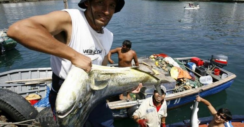SINEACE: Más de 76 mil pescadores artesanales podrán certificarse como extensionistas pesqueros - www.sineace.gob.pe SINEACE: Más de 76 mil pescadores artesanales podrán certificarse como extensionistas pesqueros - www.sineace.gob.pe