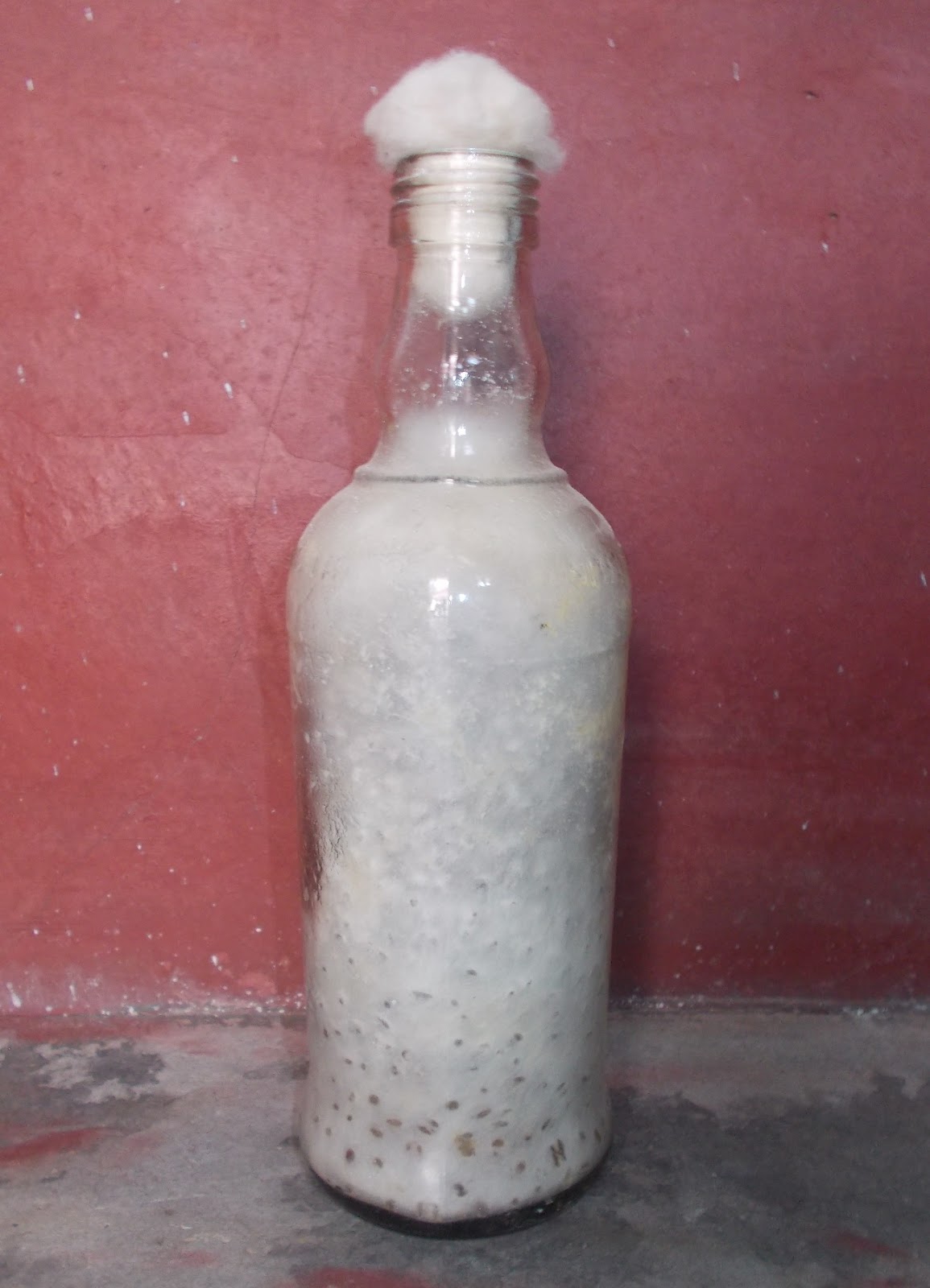 Mushroom Production mushroom cultivation