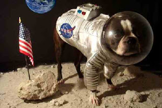 Moon lander dog Moon lander dog