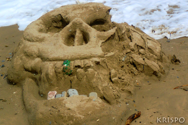 calavera de arena en playa