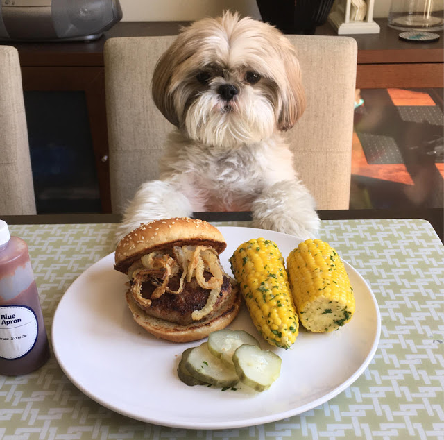 shih-tzu-não-que-comer