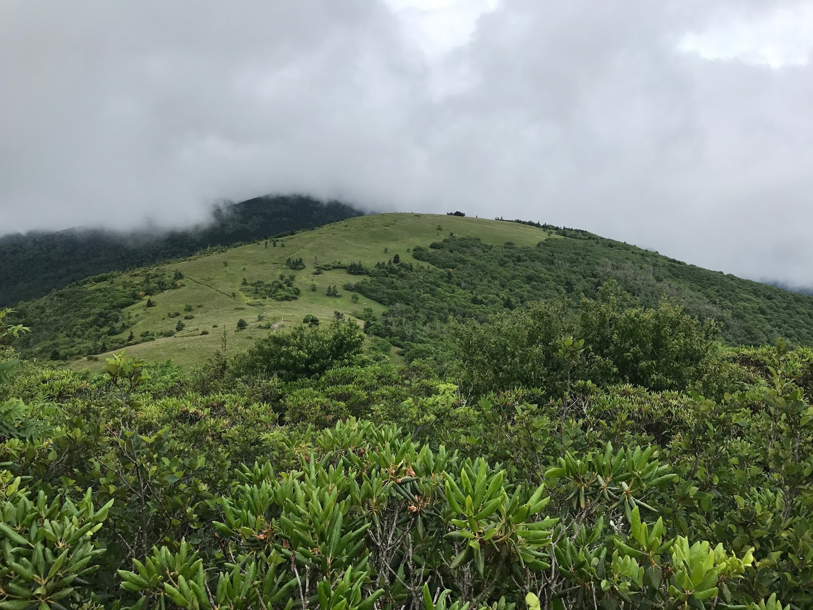 Lee County Hiking Club Carvers Gap/ Roan Mountain Hike