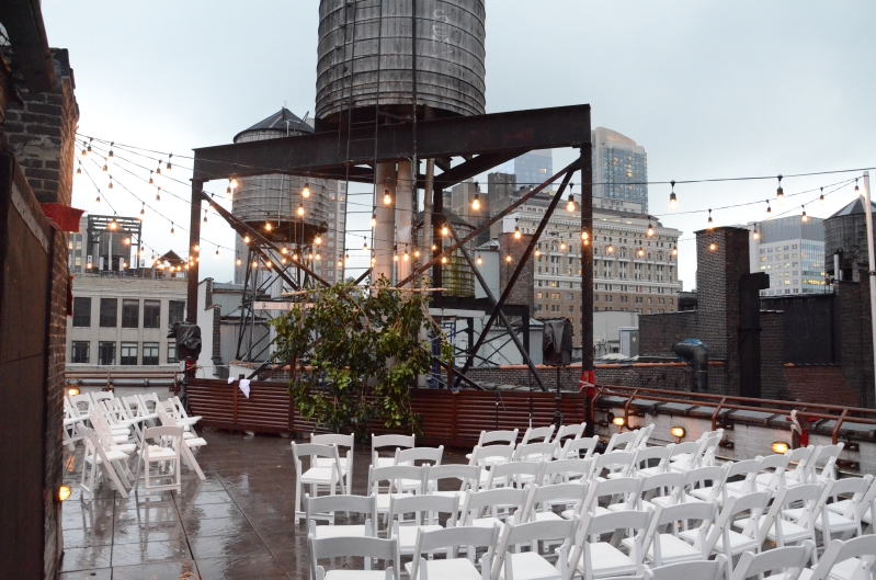 Universal Light and Sound String Lights (Rooftop) Gary's Loft