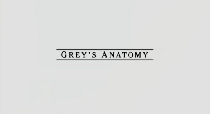 la tua serie preferita greys anatomy stagione 15
