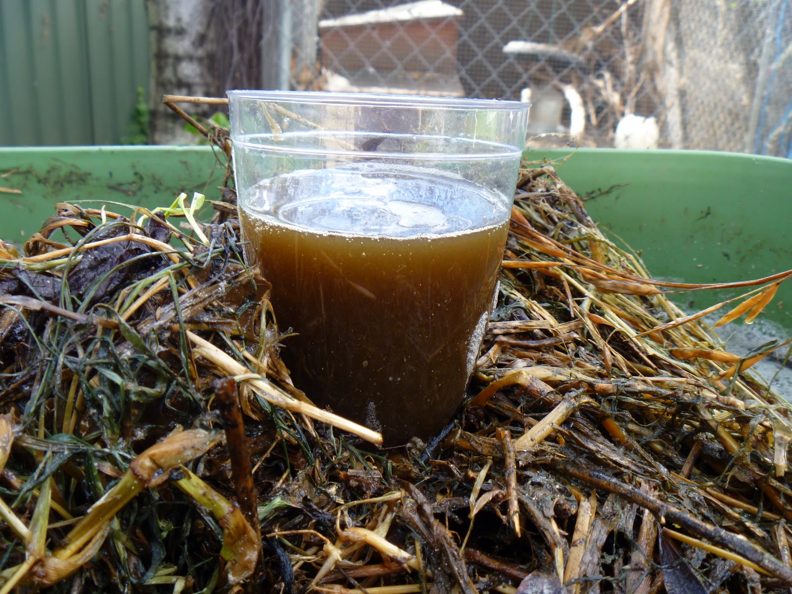 toward sustainability with three kids...... A weed compost tea