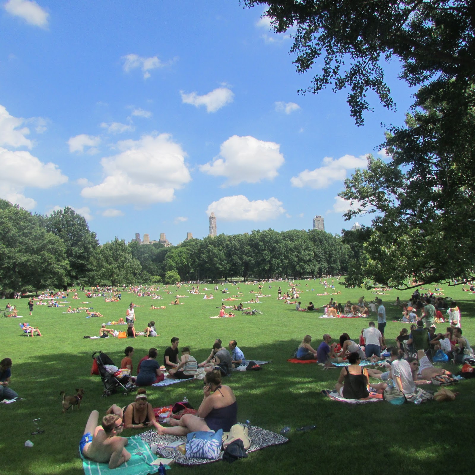 St. John's Manhattan PDPI 4th of July Celebration in Central Park