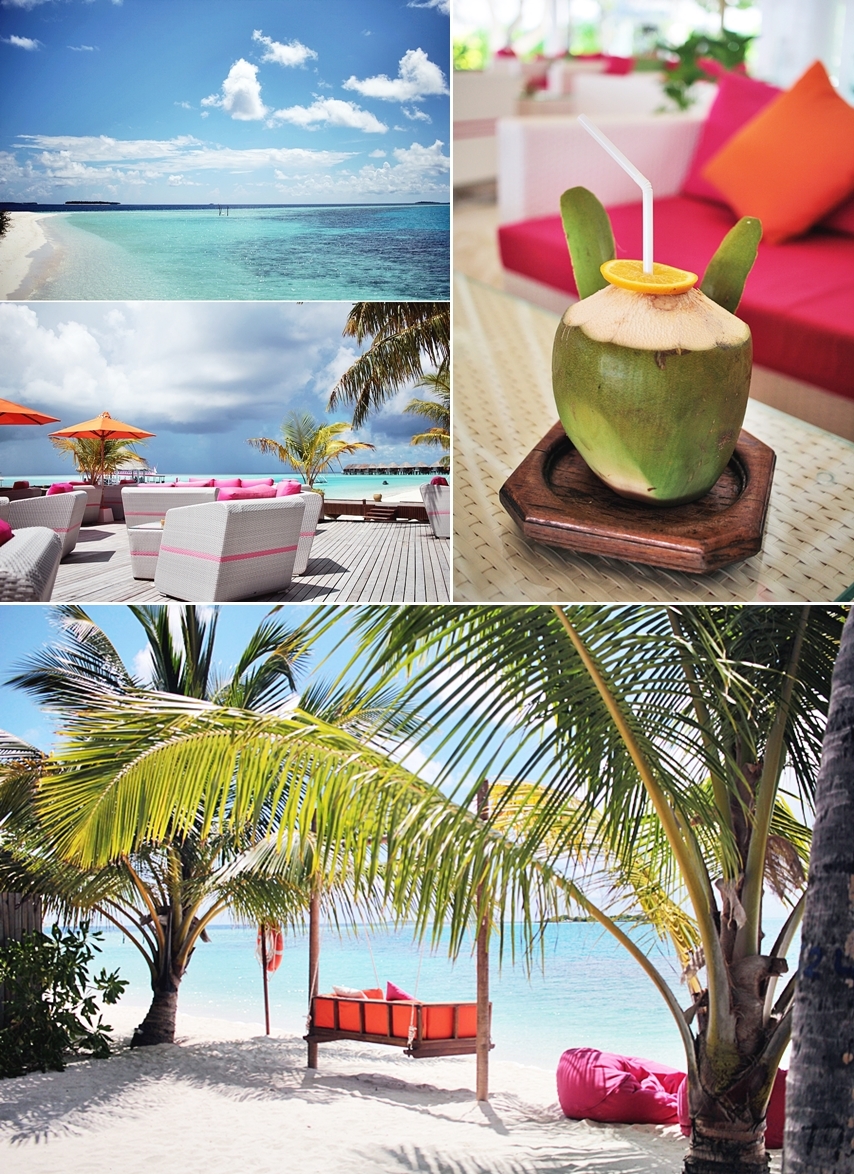 resort maldives welcome drink coconut water