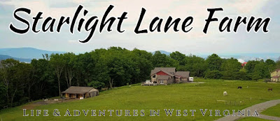 Starlight Lane Farm