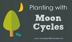 How to plant using the MOON as a guide!
