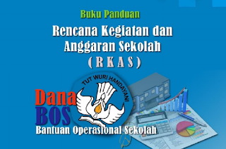 Unduh Aplikasi Rkas Dan Buku Panduan Rkas Dikdasmen Kemdikbud Versi 2 0 Pendidikan Kewarganegaraan Pendidikan Kewarganegaraan