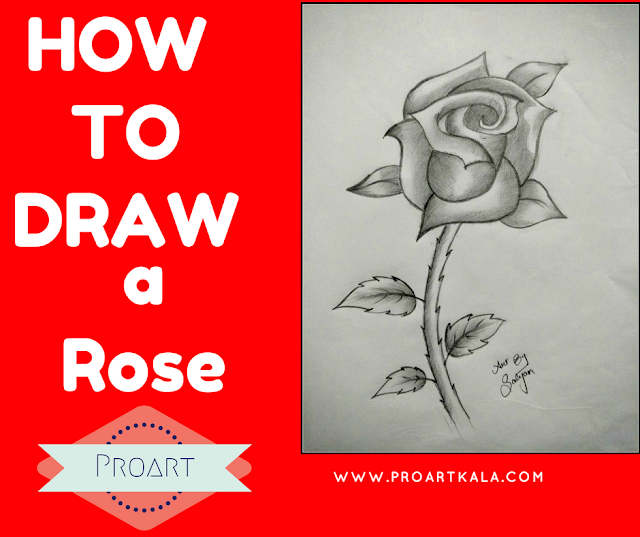 how to draw a rose how to draw a rose