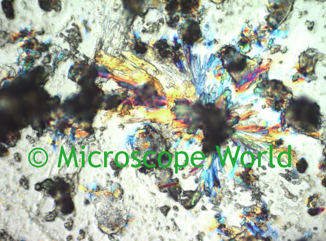 Microscope World Blog Fluoboric Acid Under Microscope