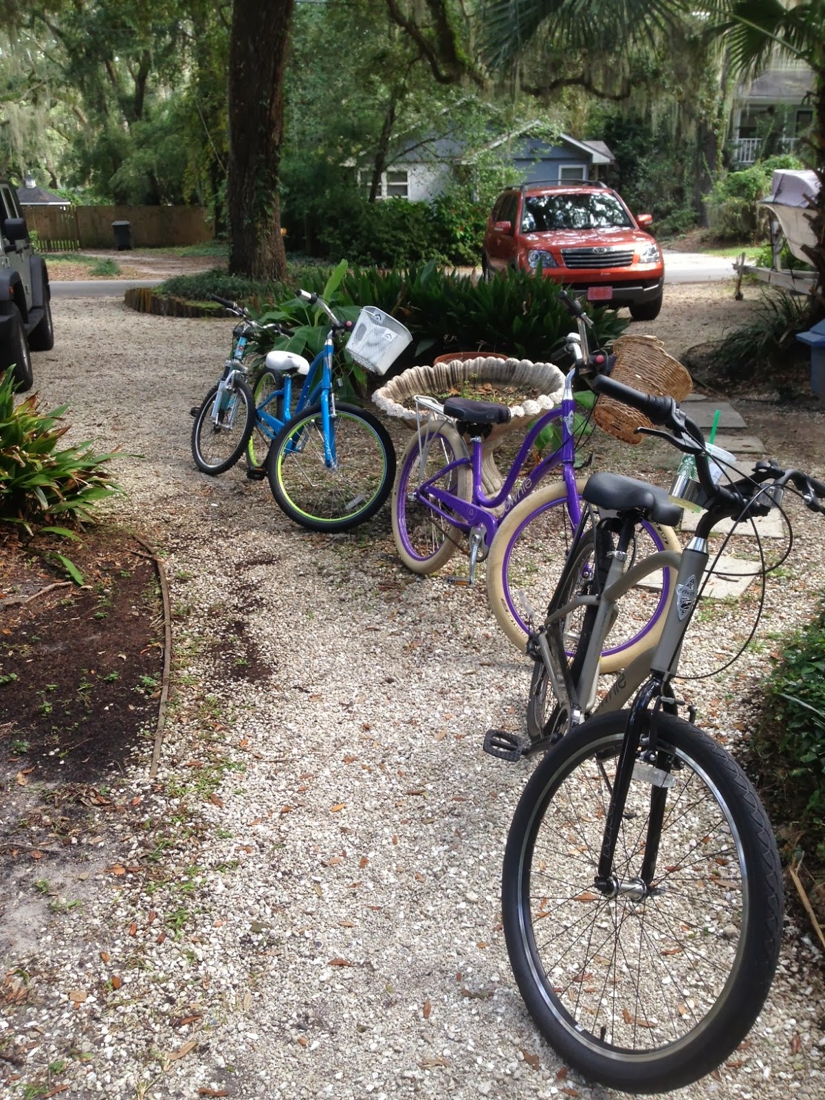 Life on the Coast as a Realtor Biking St. Simons Island