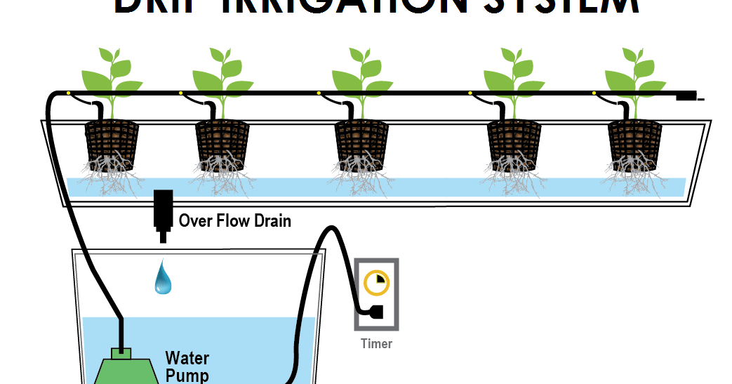 Step by Step How to install a Drip Irrigation System Agriculture