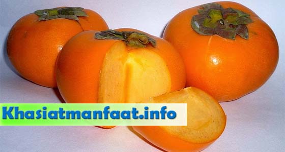 Khasiat dan Manfaat Buah Kesemek Khasiat dan Manfaat Buah Kesemek