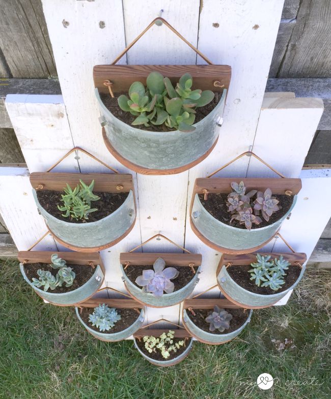 hanging succulent planters from light fixtures