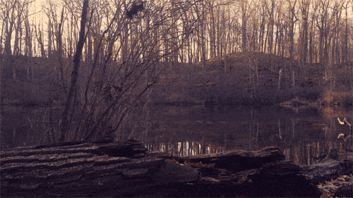 Was ist der Unterschied zwischen Weiher, Teich und Tümpel? Natur