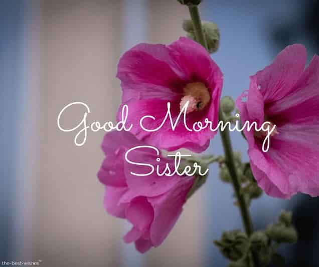 good-morning-to-sister good morning to sister