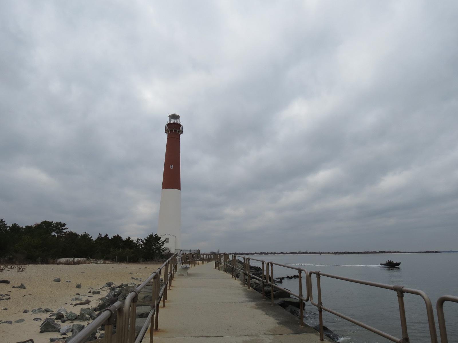 Viewing nature with Eileen Barnegat Lighthouse & beach