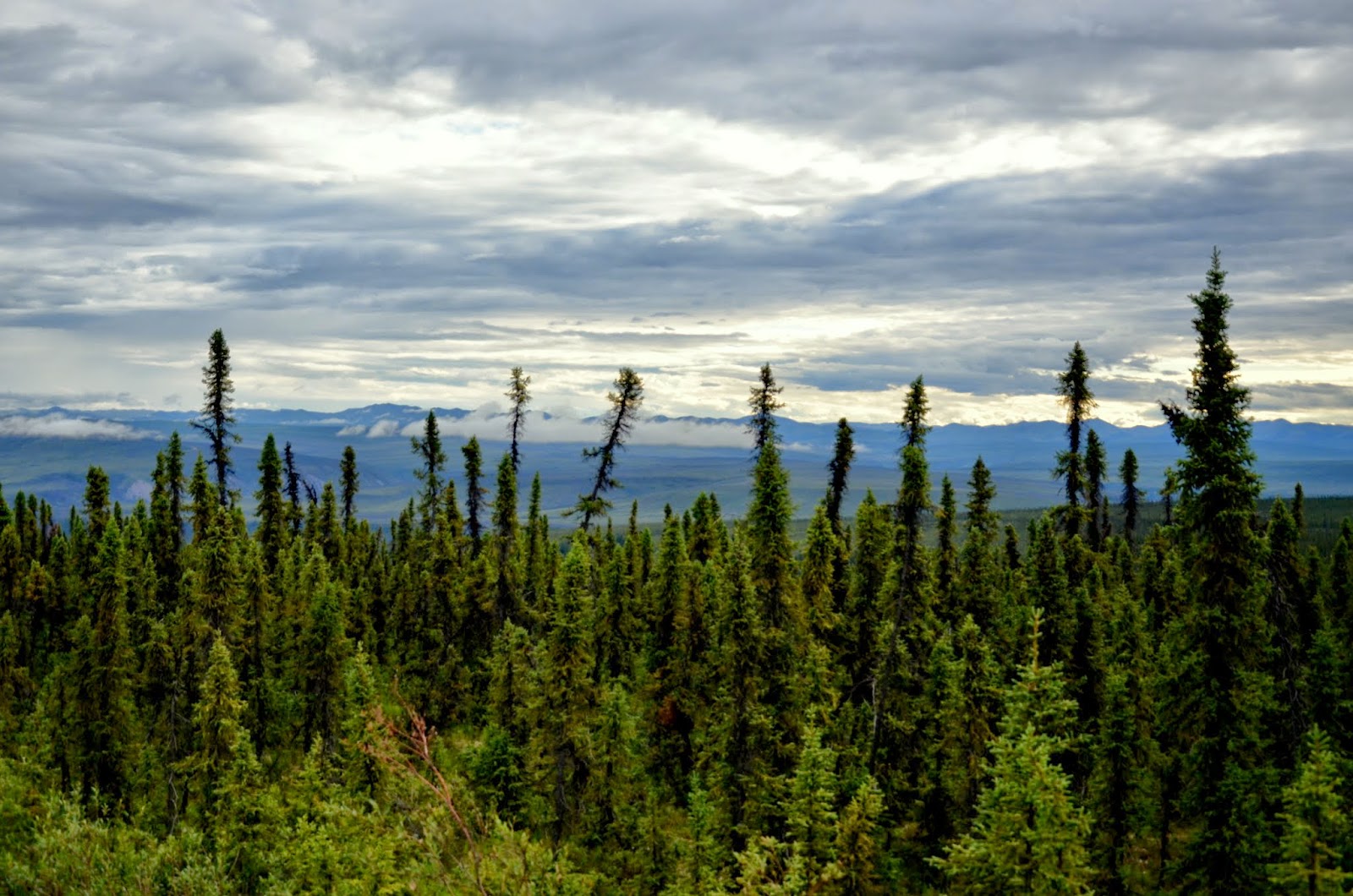 Yukon Landscape.