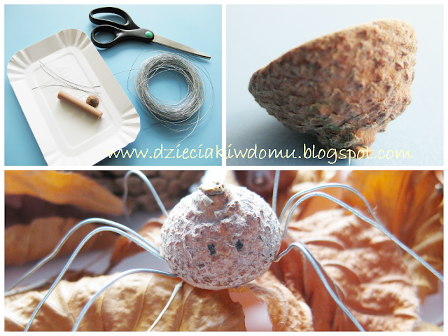 Jesienny pajączek Jesienny pajączek