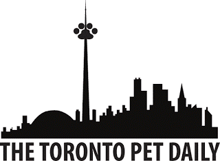 Dog Walking Services Danforth Dog Walking Services Danforth