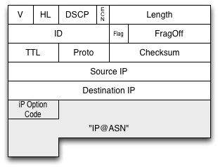 IP Option field appended to frame