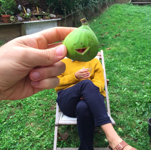 Fig Man.