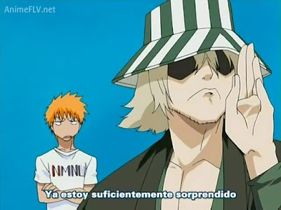 Ver Bleach Shinigami sustituto - Capítulo 18