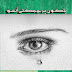 Palkon Par Chamkte Aansoo by Sadia Abid