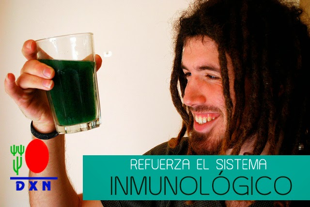 Spirulina para adelgazar funcionalismo