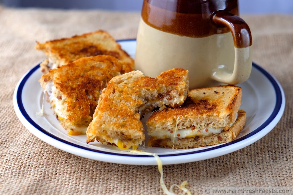 Farm Fresh Feasts Grilled Cheese with Cheddar, Havarti and Apple Fig