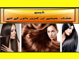 Health Plus Beauty Homemade Shampoo For Dry And Weak Hair Urdu