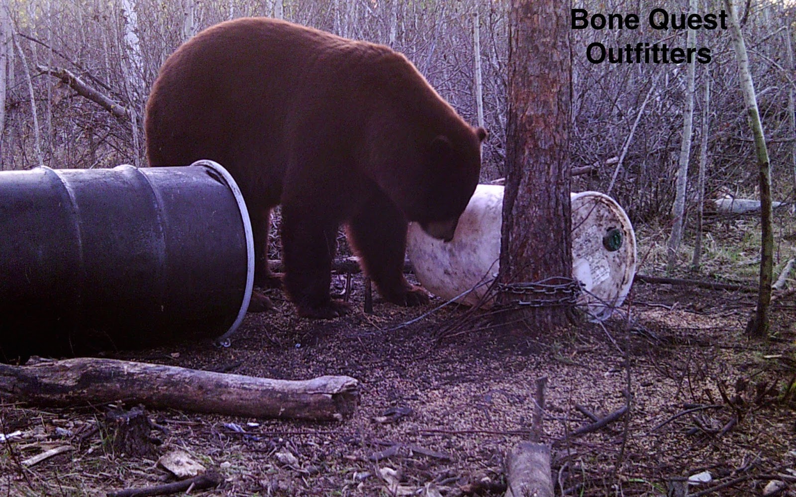Canadian Spring Bear Hunt Packing List
