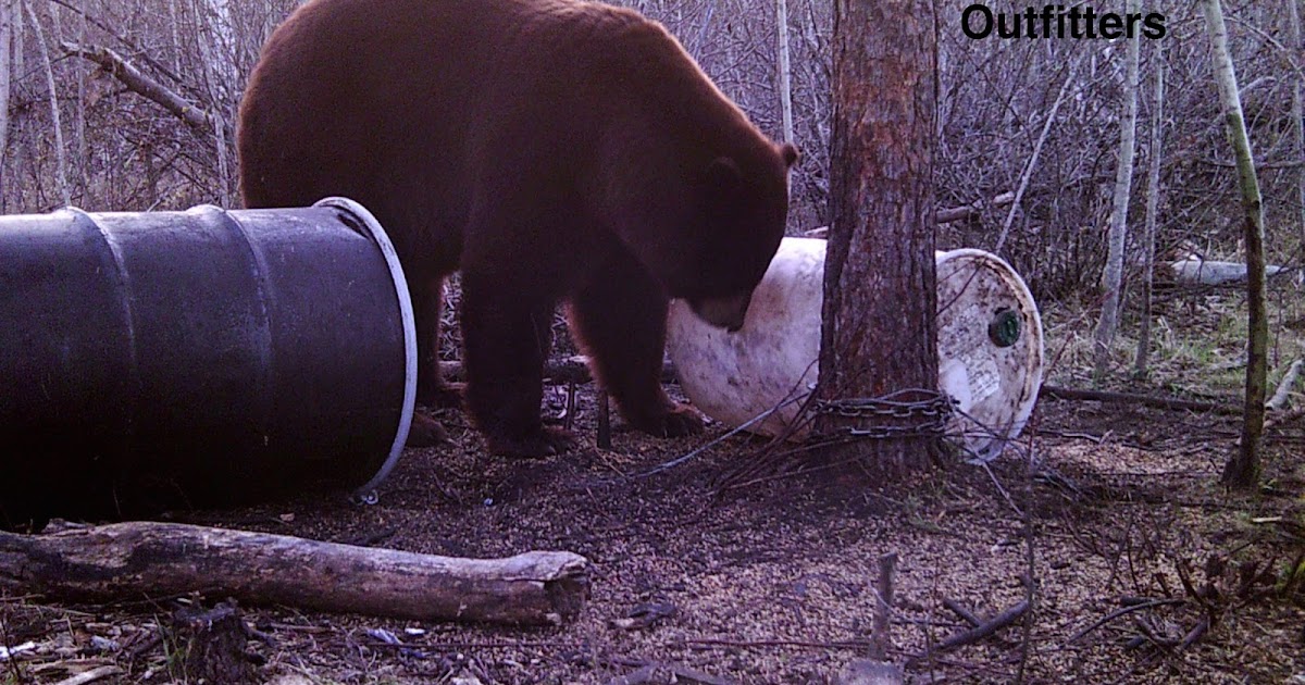 Canadian Spring Bear Hunt Packing List