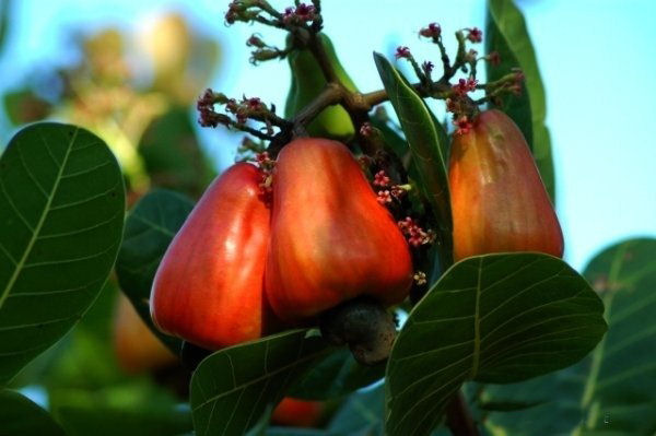 To re-live our Old memories