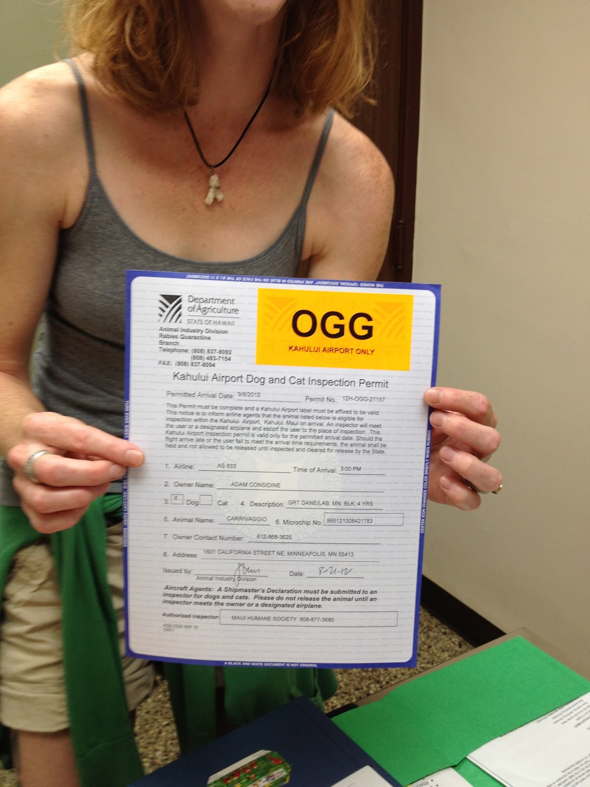 Such Good Dogs Flying dogs to Maui, Hawaii
