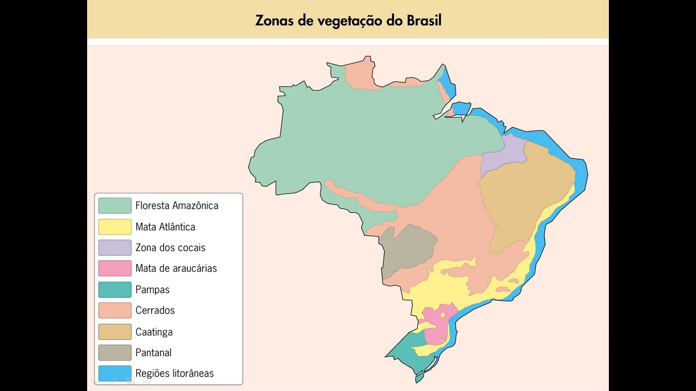 BIOMAS ( Biomas do Brasil e