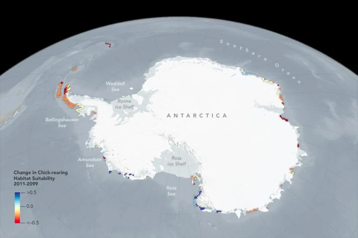 The projected changes to the status of Adelie penguin colonies through the year 2099